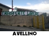 Avellino