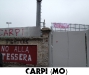 Carpi. (Mo)